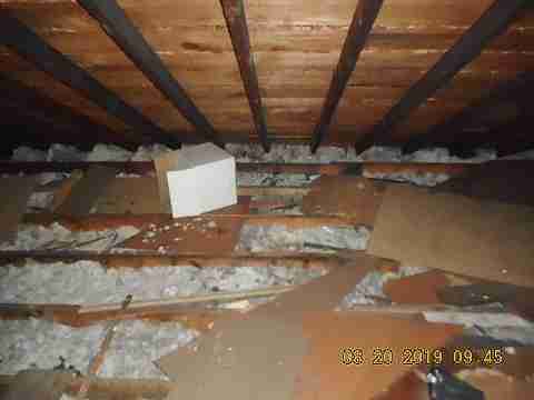 4854 Phillip (37)_m.jpg